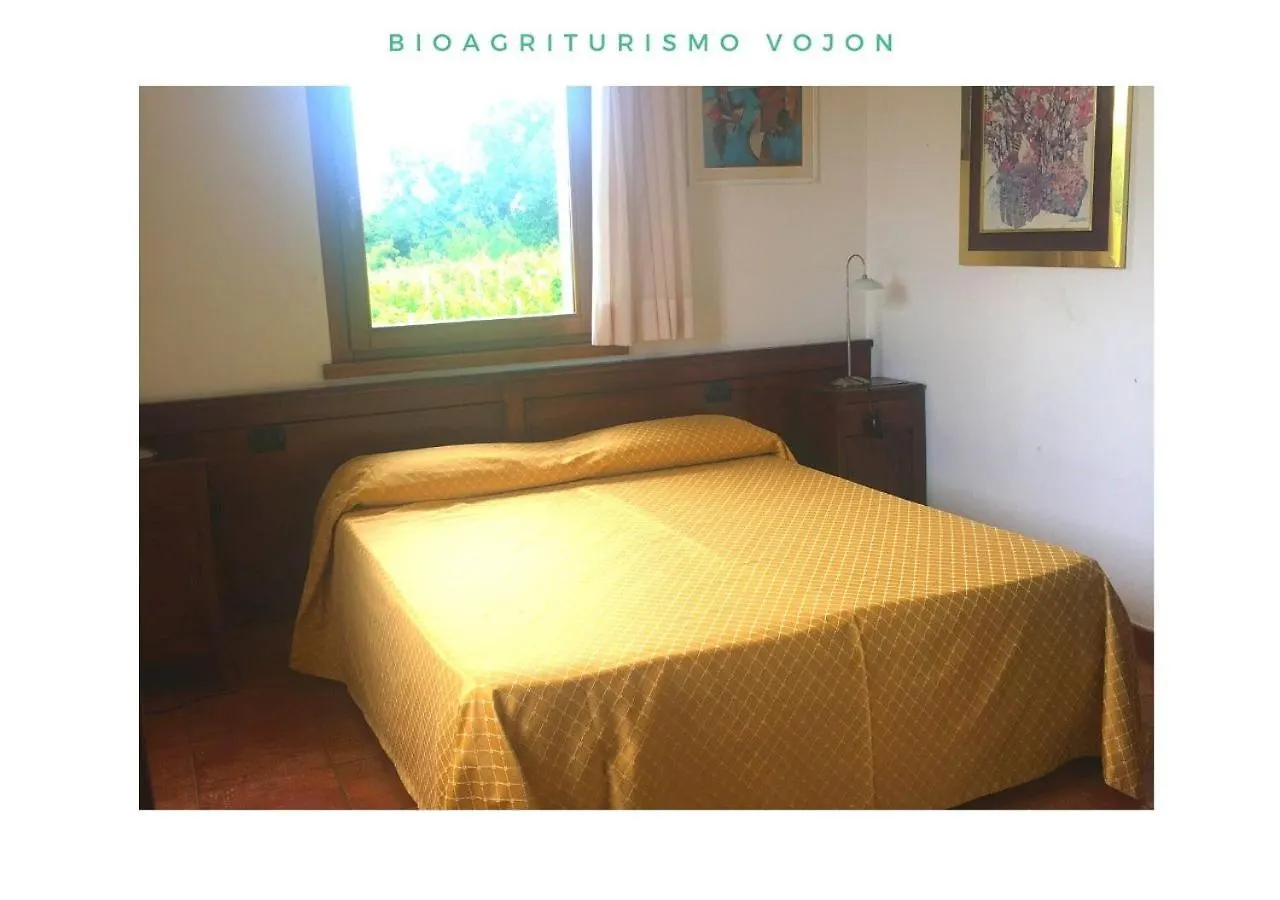 Bio Agriturismo Vojon Ponti sul Mincio 0*,
